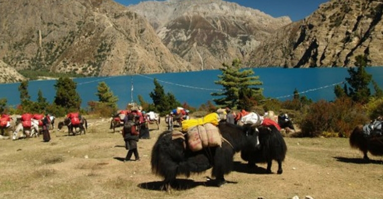 Upper Dolpo Trekking