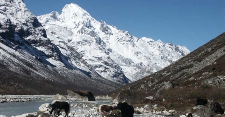 Langtang Trekking