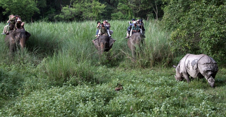 Chitwan Jungle Safari Tour