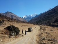 Langtang Valley Trekking